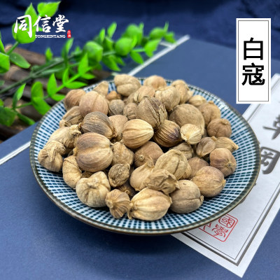 中药材店铺 特级新货白豆蔻香料白豆蔻粉白寇白寇仁白蔻白扣白叩