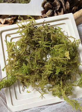 junkjournal 手工专用青苔干苔藓复古造景diy手帐素材