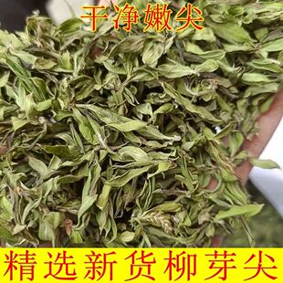柳树芽中药材 野生嫩柳芽 柳絮 新货柳树芽 柳芽 嫩柳芽 柳芽茶