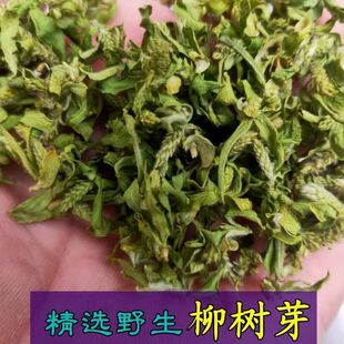 柳树芽中药材 野生嫩柳芽 柳絮 新货柳树芽 柳芽 嫩柳芽 柳芽茶