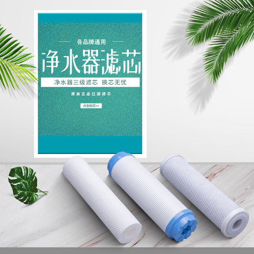 净水器10寸滤芯直饮机颗粒活性炭