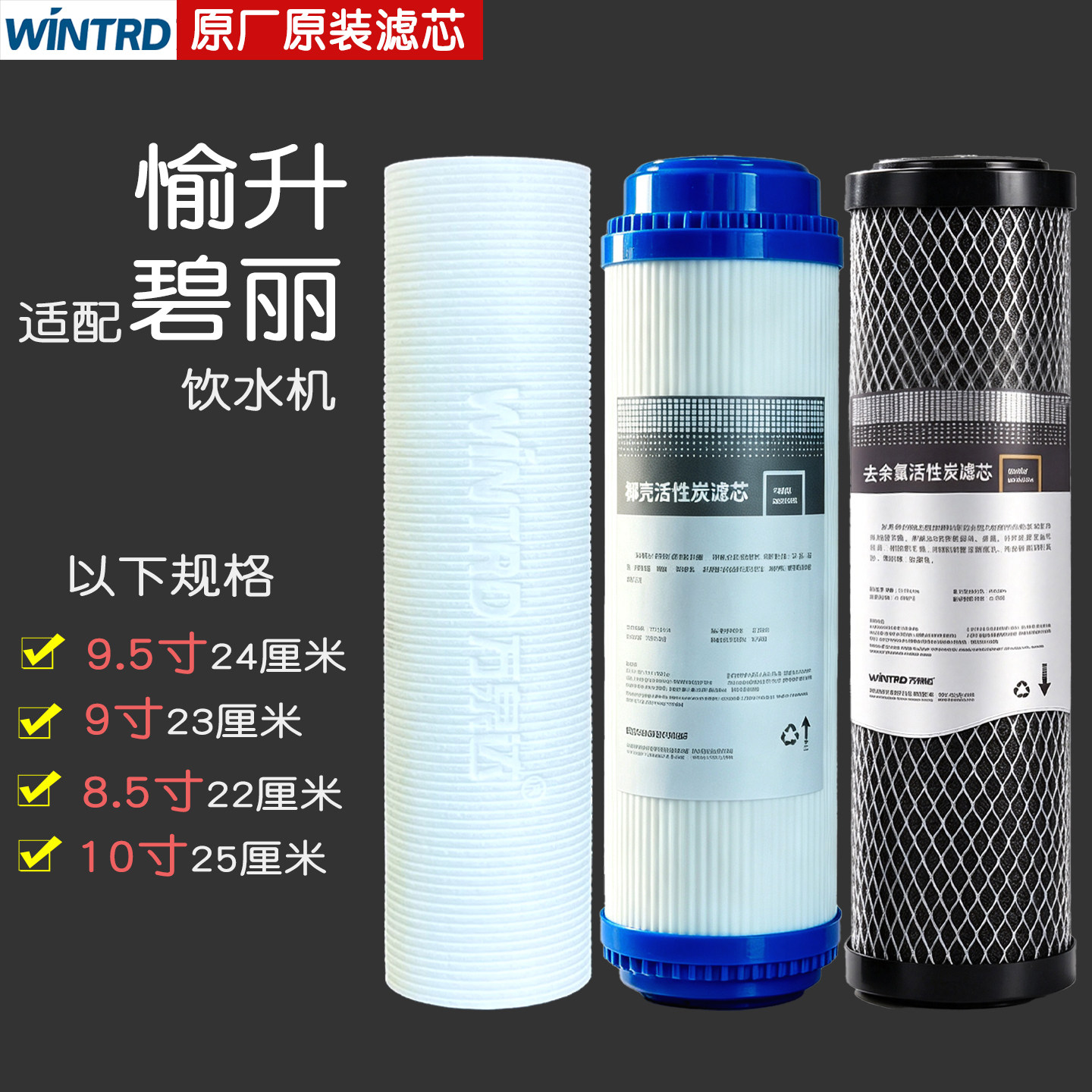 适用碧丽愉升饮水机康丽源滤芯图片