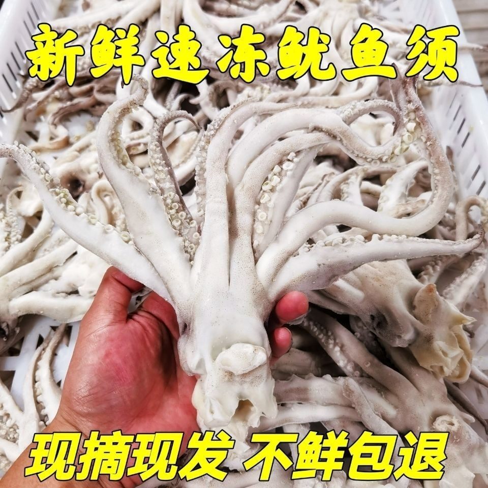 新鲜小鱿鱼须阿根廷鱿鱼头须小八爪须白尤鱼头须高品质无冰衣铁板