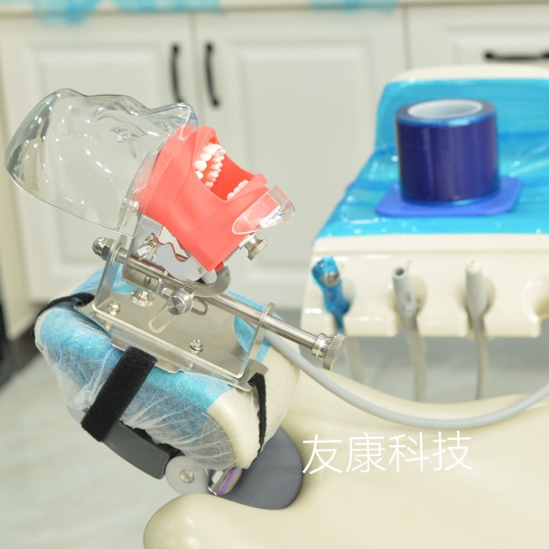 牙科口腔教学练习仿头模口腔仿真头颅软牙龈根管开髓缝补备牙支架