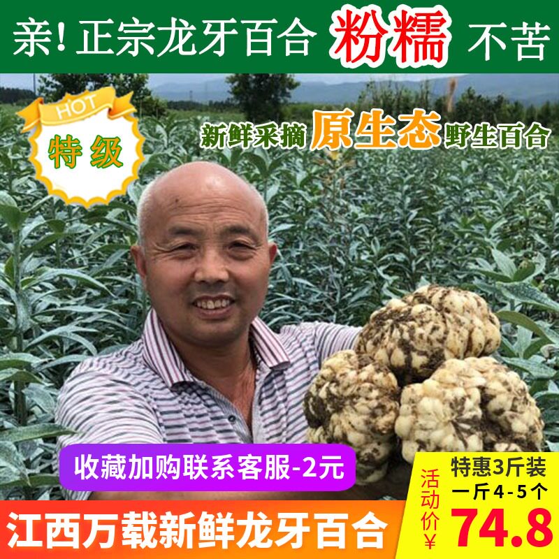 2019江西万载野生百合龙牙百合新鲜甜百合食用新鲜特级3斤装在类目 传统滋补营养品, 药食同源食品, 百合中 - 来自Buy2taobao.com提供专业的淘宝代购服务