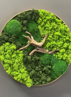 永生苔藓560克工厂直销