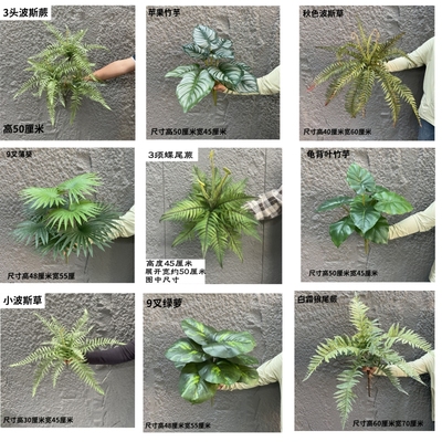 尚古艺景大蕨草田园装饰造景装饰