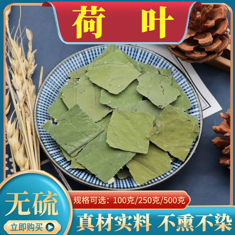 新鲜荷叶500g克荷叶切小片中药材农产品莲叶荷叶干片荷叶茶包邮