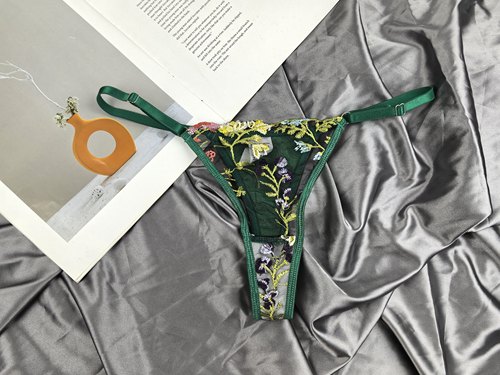 欧美外单刺绣透视性感丁字裤女 网纱超薄法式T裤橘色细带一字带