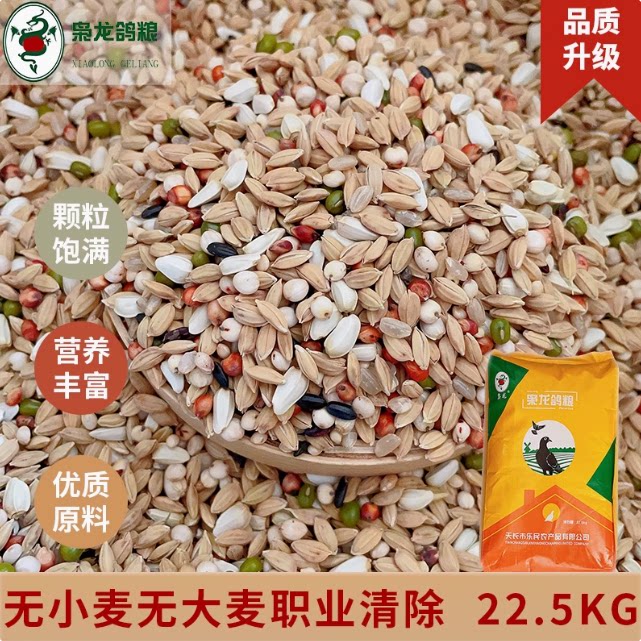 枭龙鸽粮无小麦无大麦职业稻谷清除赛鸽信鸽鸟食江浙沪皖45斤包邮