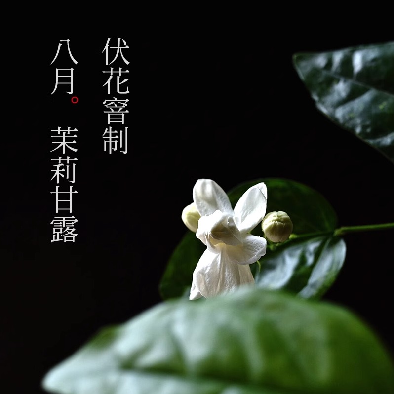 【25年新茶】8月伏花6窨 川派花茶 茉莉甘露75克(买10送1)