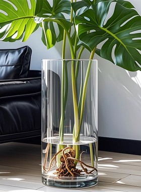 大号玻璃花瓶透明水养龟背竹水培富贵竹插花客厅摆件直筒高级感