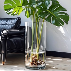 大号玻璃花瓶透明水养龟背竹水培富贵竹插花客厅摆件直筒高级感
