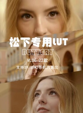 松下 Panasonic Lut Buttery vlog 22款,支持S9/s5m2等机内直出