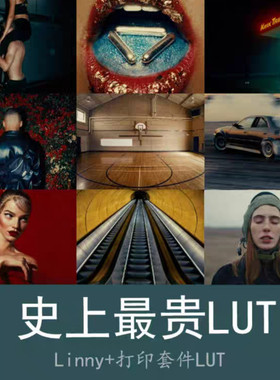 TheBrim Linny+print LUT Arri Log c+补充打印套件LUT，史上贵