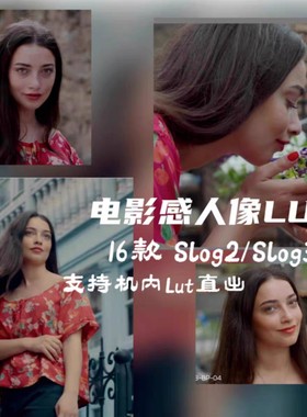 索尼lut slog2/slog3电影感,支持FX3/FX6/FX30/A7C2/ZVE1机内直出