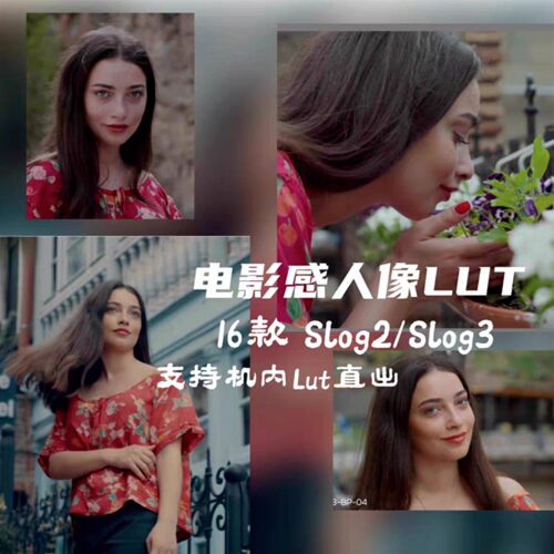 索尼lut slog2/slog3电影感,支持FX3/FX6/FX30/A7C2/ZVE1机内直出