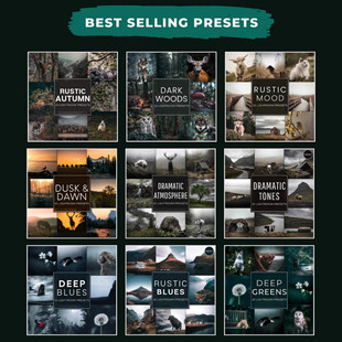 森系大师Lr预设合集Woodland  Lightroom Presets   xmp  dng格式