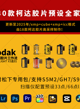 柯达胶片预设全家桶复古电影金200炮塔400/2383冲扫PRPSLR滤镜LUT