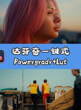 一键式达芬奇调色 One Click Powergrade+LUT Andrew Paul
