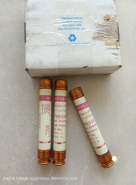 发那科用GOULD保险丝熔断器TRS30R