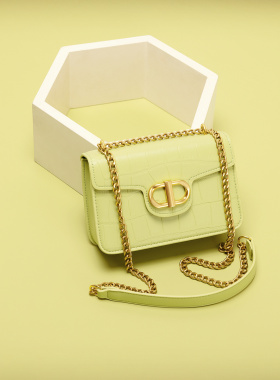 香港真皮女包2024春季休闲石头纹单肩斜挎腋下包女法式链条小方包