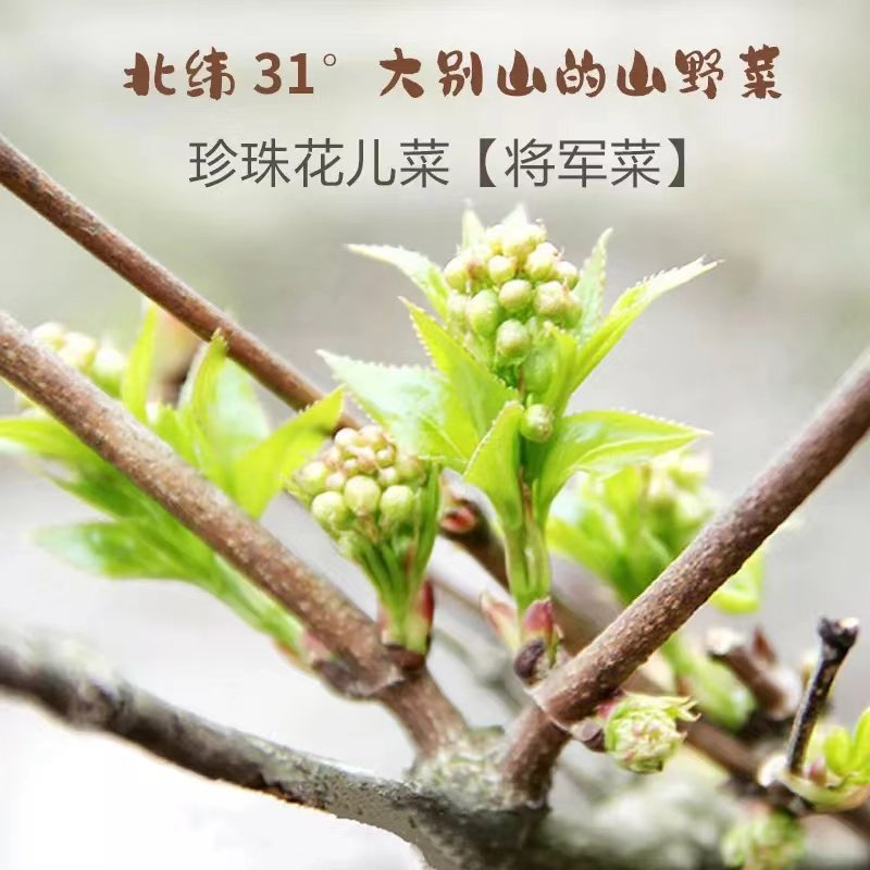 将军菜干菜大别山信阳新县特产花儿菜珍珠花食用农产品山野菜250g