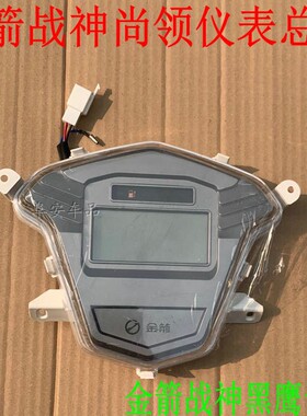 金箭战神电动车仪表总成电压速度数字液晶48v60v72v通用黑鹰尚领