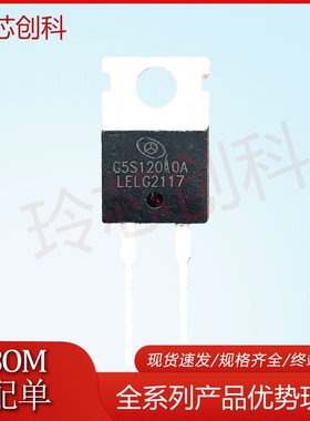 G5S12010A 全新现货 肖特基二极管1200v优质测好 实拍 质量保证