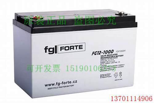 fglFORTE蓄电池FG12-100D(12V100AH)免维电源电瓶 UPS 医疗 船用
