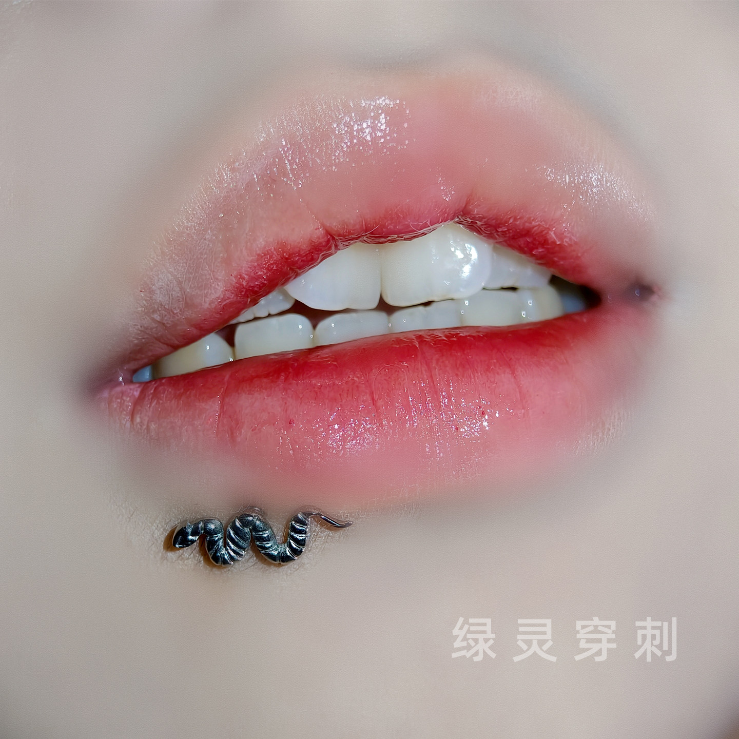 绿灵 玄蛇 小蛇唇钉钢钛内螺纹 可爱耳骨钉直钉唇环辣妹穿刺饰品,饰品/流行首饰/时尚饰品新,唇环/唇钉,淘宝优惠券,粉丝福利购,淘宝优惠卷