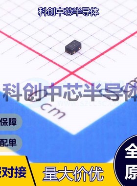 20个 PESDMC2FD5VB 静电和浪涌保护(TVS/ESD) DFN1006 双向 5V 11