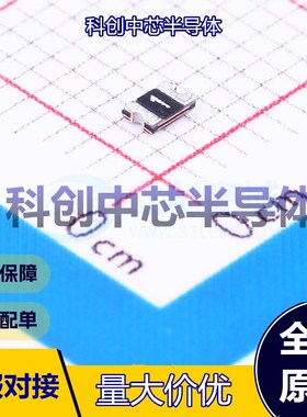 10个 SMD0805P010TF 自恢复保险丝 0805 15V 100A 100mA 300mA 全