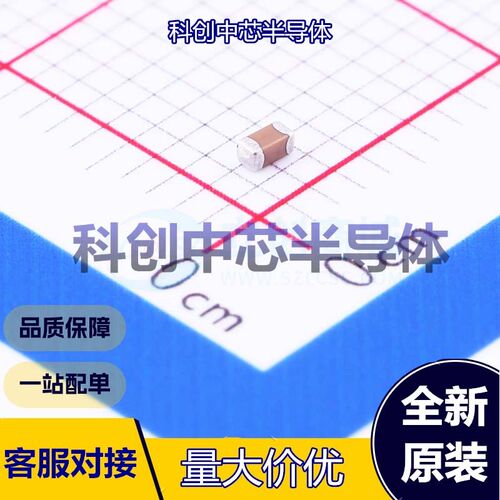100个 0603B223K101NT 贴片电容(MLCC) 0603 22nF ±10% 100V X7R