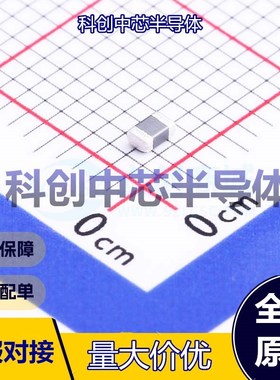 20个 BLM21PG220SN1D 磁珠 0805 22Ω@100MHz ±25% 9mΩ 6A 全新