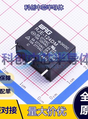 1个 RJE-124DM 功率继电器 插件,9.9x19.8mm 4 400mW 10A 1.44kΩ