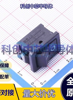 5个 RS601A-1010015BB 船型开关 插件 21mm 15mm 13.6mm 凹面弯曲