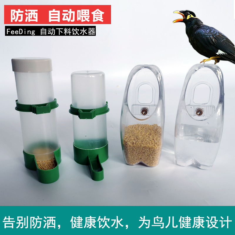 鸟用饮水器自动喂食器八哥喂鸟食