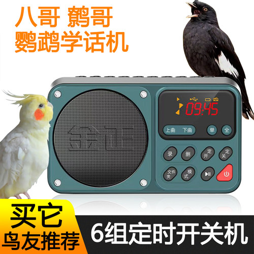 鹦鹉八哥鸟用学话机定时录音训练