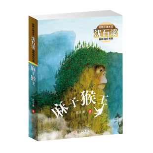 动物小说大王沈石溪品味成长书系·麻子猴王 中短篇小说合集 动物大王沈石溪经典