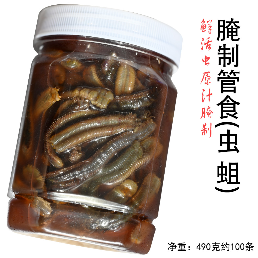 海钓饵鱼饵管虫管蛆管食黄三黄姑