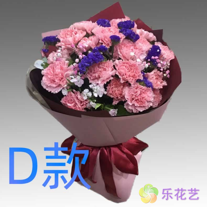 生日祝寿康乃馨浙江宁波花店送花鲜花速递(同城)