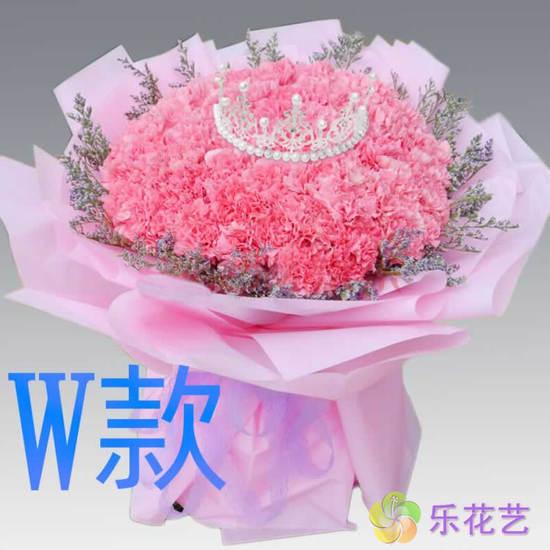 生日探望康乃馨福建厦门花店送花同安区翔安区思明区同城鲜花快递 - 实物图