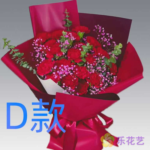 生日康乃馨宁夏银川订花店送花兴庆区西夏金凤永宁县同城鲜花快递