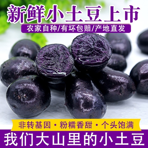 高原种植新鲜黑土豆迷你小土豆100克以下黑金刚小洋芋马铃薯蔬菜