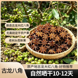 新果广西正宗藤县古龙八角大料干货无硫五香调料去腥增香调味香料