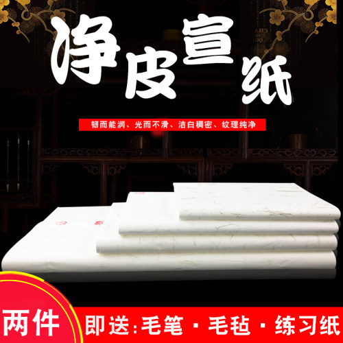 练习工笔画熟宣初学者书法专用纸