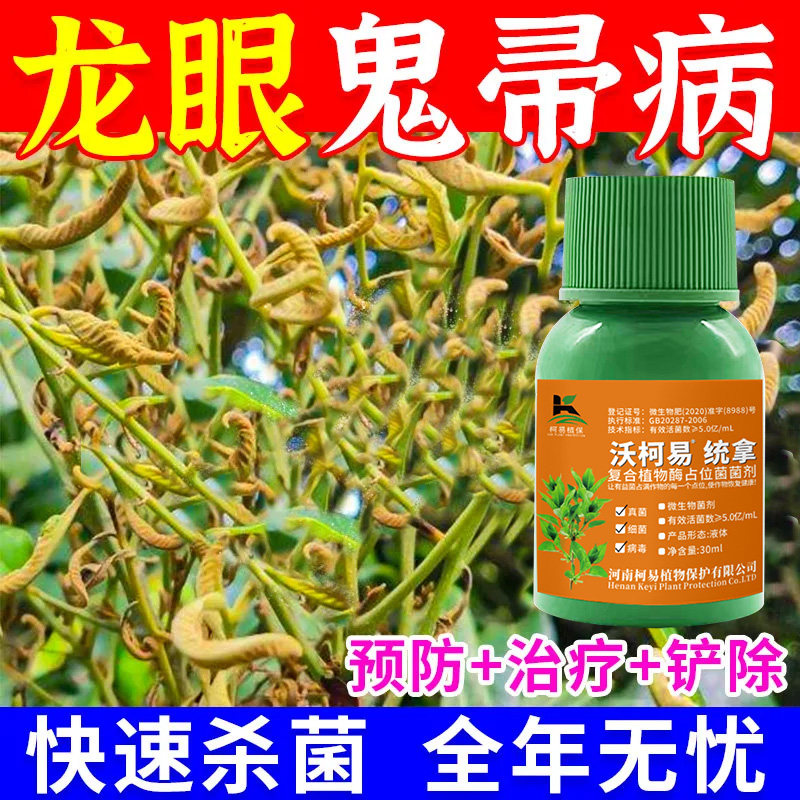 龙眼病全治龙眼专用杀菌剂炭疽病褐斑病烟煤病白粉病龙眼病克星