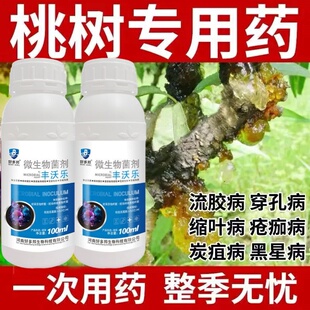 桃树流胶病穿孔溃疡疮痂病果树流胶缩叶炭疽病褐腐病桃子病害专用