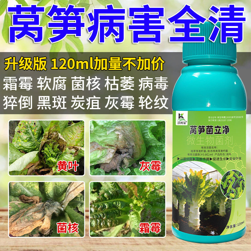 沃柯易莴笋菌立净霜霉菌核软腐枯萎猝倒灰霉黄叶炭疽黑斑专用药